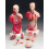 human-torso-anatomy-model-10-18-in