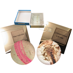 tiny-creatures-set-glass-prepared-slides