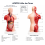 human-torso-anatomy-model-10-18-in
