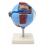 Human-Eye-Anatomy-Model-6x-Enlarged-Removable-Sections